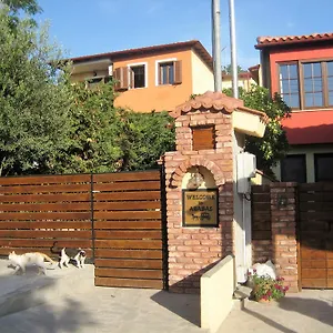 Guest house Arabas ***